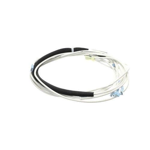Harness Asm,Elect Ign Wiring