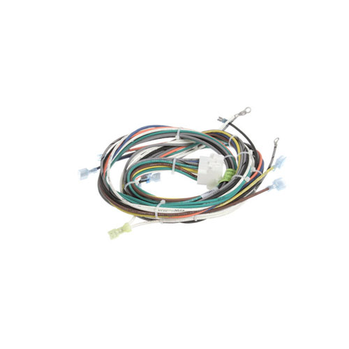 Main Harness, Gas 