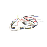 Harness,Wiring,R2 W/Timer 8Pin 